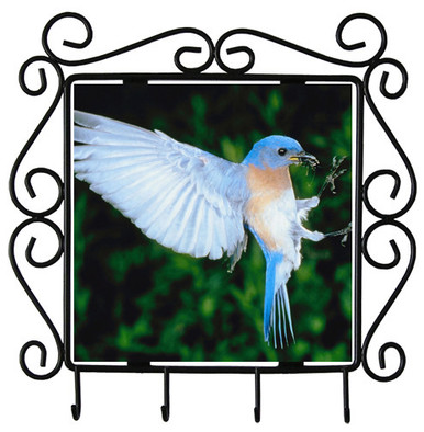 Bluebird Metal Key Holder