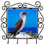 Blue Footed Booby Metal Key Holder
