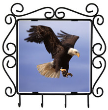 Eagle Metal Key Holder