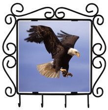 Eagle Metal Key Holder