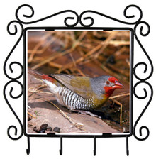 Finch Metal Key Holder