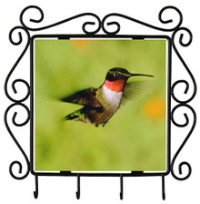 Hummingbird Metal Key Holder