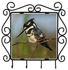 Pied Kingfisher Metal Key Holder