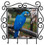 Macaw Metal Key Holder
