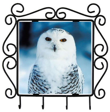 White Owl Metal Key Holder