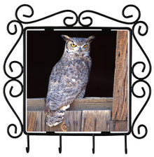 Great Horned Owl Metal Key Holder