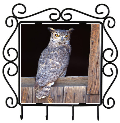 Great Horned Owl Metal Key Holder