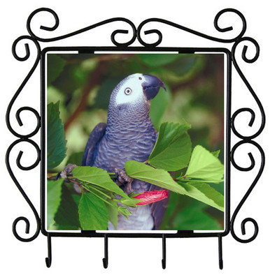 African Grey Parrot Metal Key Holder