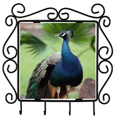 Peacock Metal Key Holder