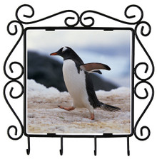 Penguin Metal Key Holder