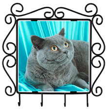 British Shorthair Cat Metal Key Holder