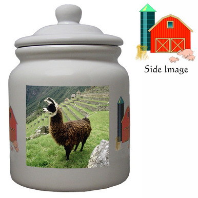 Llama Ceramic Color Cookie Jar