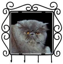 Persian Cat Metal Key Holder