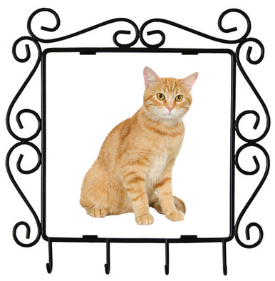 Tabby Cat Metal Key Holder