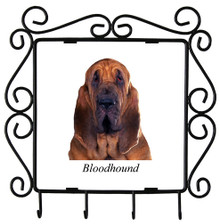 Bloodhound Metal Key Holder