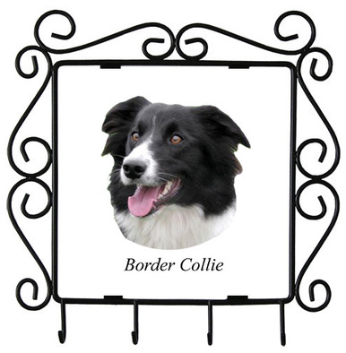 Border Collie Metal Key Holder