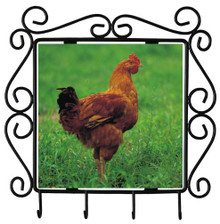 Chicken Metal Key Holder