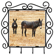 Donkey Metal Key Holder