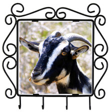 Goat Metal Key Holder