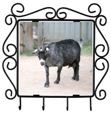 Goat Metal Key Holder