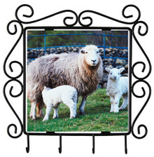 Lamb Metal Key Holder