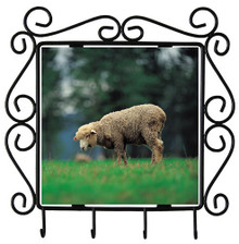 Sheep Metal Key Holder