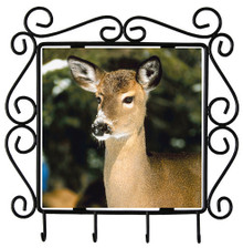 Deer Metal Key Holder