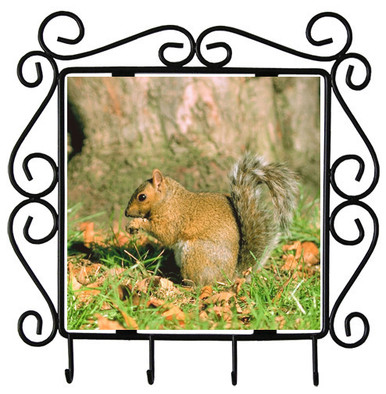 Squirrel Metal Key Holder