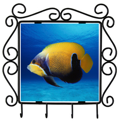 Blue Girdled Angelfish Metal Key Holder