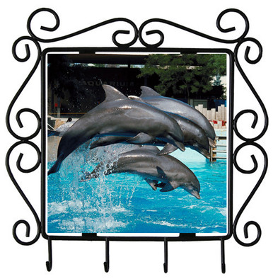 Dolphin Metal Key Holder