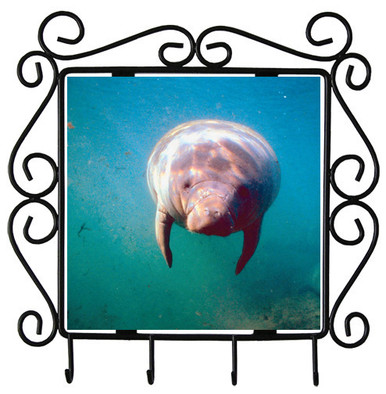 Manatee Metal Key Holder