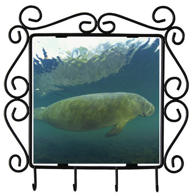 Manatee Metal Key Holder