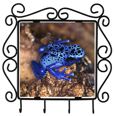 Blue Frog Metal Key Holder
