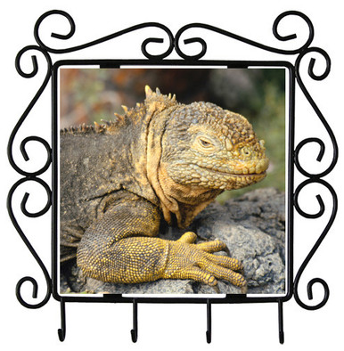 Iguana Metal Key Holder