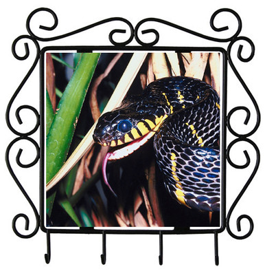 Mangrove Snake Metal Key Holder