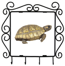 Turtle Metal Key Holder