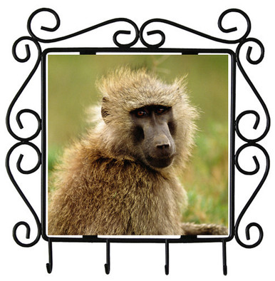 Baboon Metal Key Holder