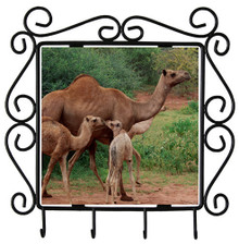 Camel Metal Key Holder