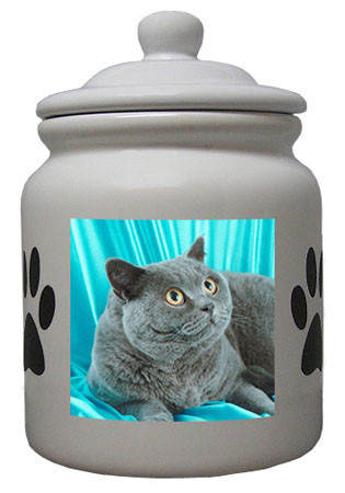 British Shorthair Cat Ceramic Color Cookie Jar