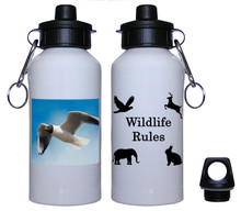 Black Headed Gull Aluminum Water Bottle