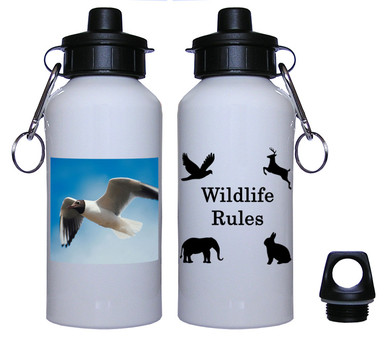 Black Headed Gull Aluminum Water Bottle