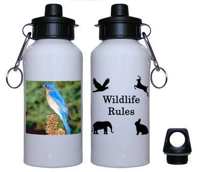 Bluebird Aluminum Water Bottle