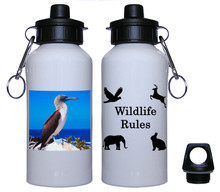 Blue Footed Booby Aluminum Water Bottle