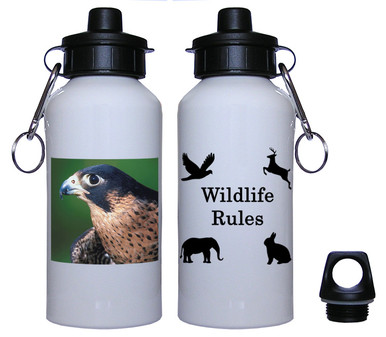 Falcon Aluminum Water Bottle