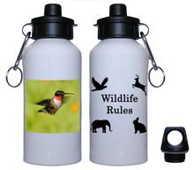 Hummingbird Aluminum Water Bottle