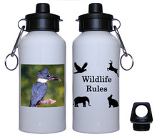 Belted Kingfisher Aluminum Water Bottle