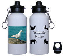 Seagull Aluminum Water Bottle