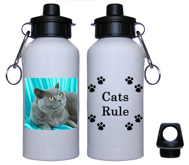 British Shorthair Cat Aluminum Water Bottle