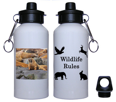 Walrus Aluminum Water Bottle