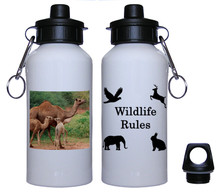 Camel Aluminum Water Bottle